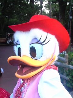 ���^�����ȃf�C�W�[