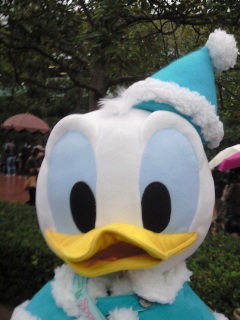 �s�o