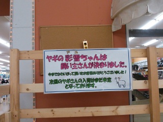 �ǂ������B