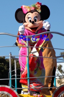 �̂�т肵�Ă��܂��B