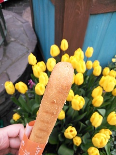 ��������Ȃ����I