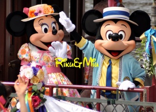 �C���p�����̏T�����I��