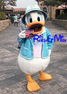 �߂�܂����I�i�̏d���E�E�E�j