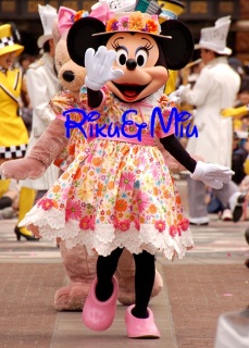 �R�O���N�̂c�u�c�Ɏ��^����܂����B�i�΁j