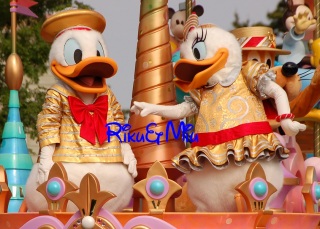�P�[�L����Ȃ��Ē���ˁE�E�E