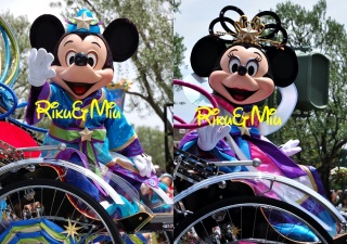 �D�P�ƕF����������I