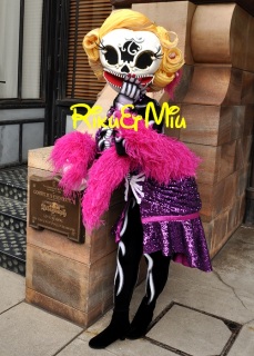 �l���y����������邳