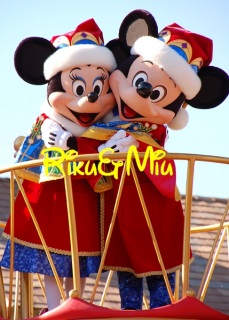 �S�̐���