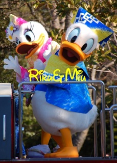 ���n�r��