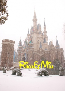 �R�u�����